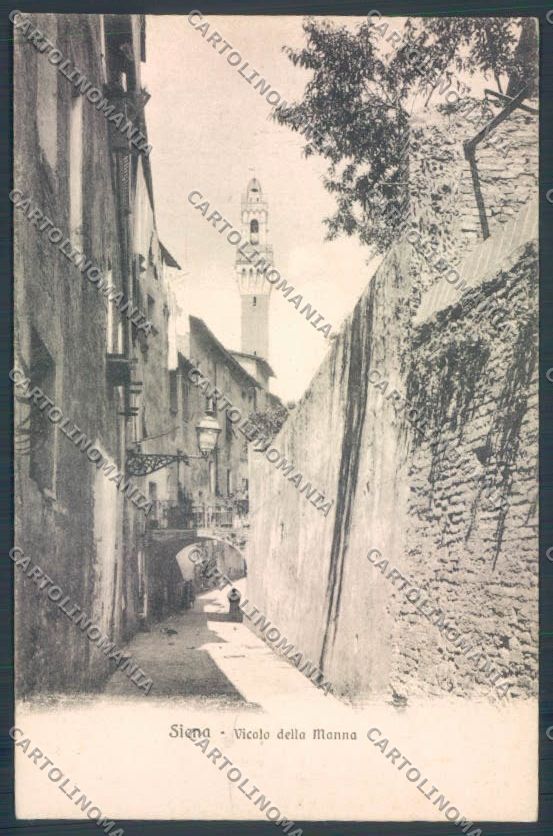 Siena Città cartolina ZB6202 – fronte