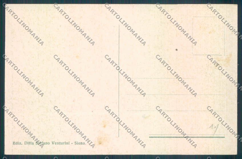 Siena Città cartolina ZB6213 – retro