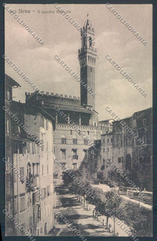 Siena Città cartolina ZB6215 – fronte