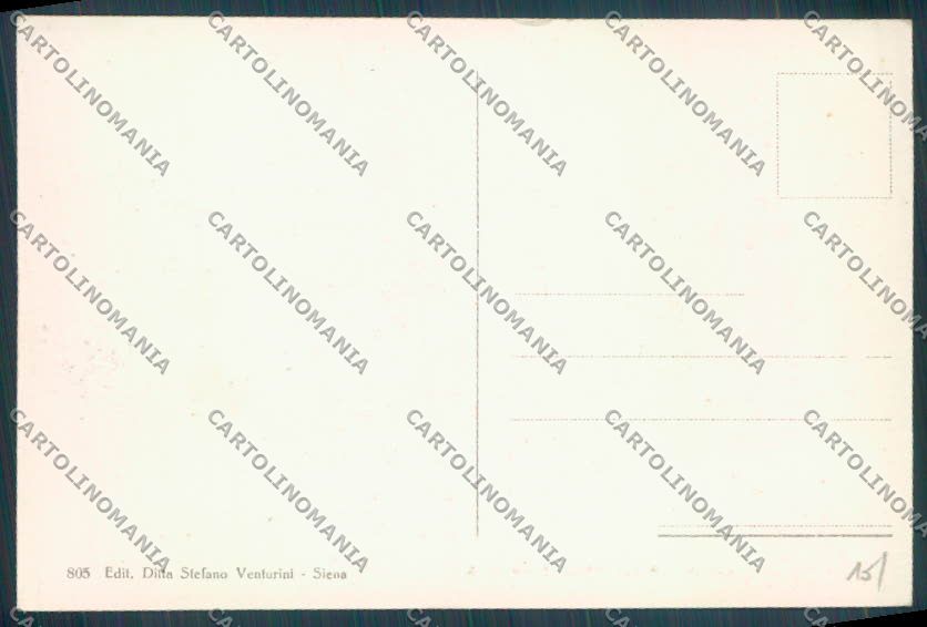 Siena Città cartolina ZB6224 – retro