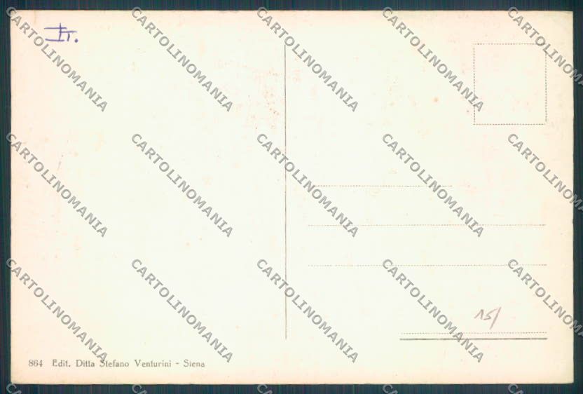 Siena Città cartolina ZB6233 – retro