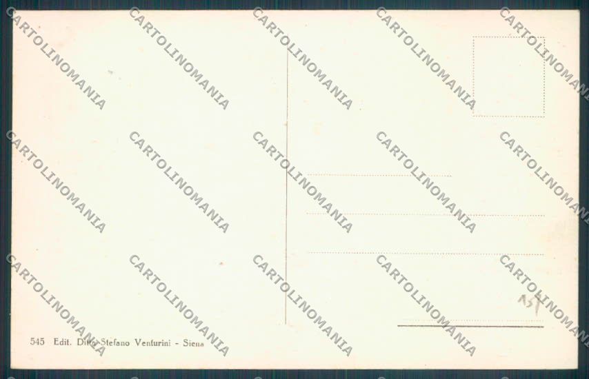 Siena Città cartolina ZB6234 – retro