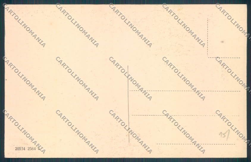 Siena Città cartolina ZB6235 – retro