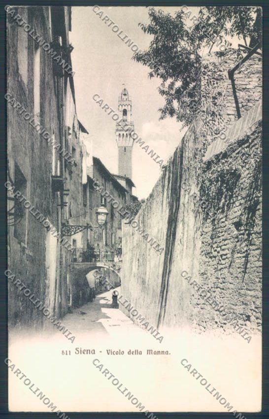 Siena Città cartolina ZB6239 – fronte