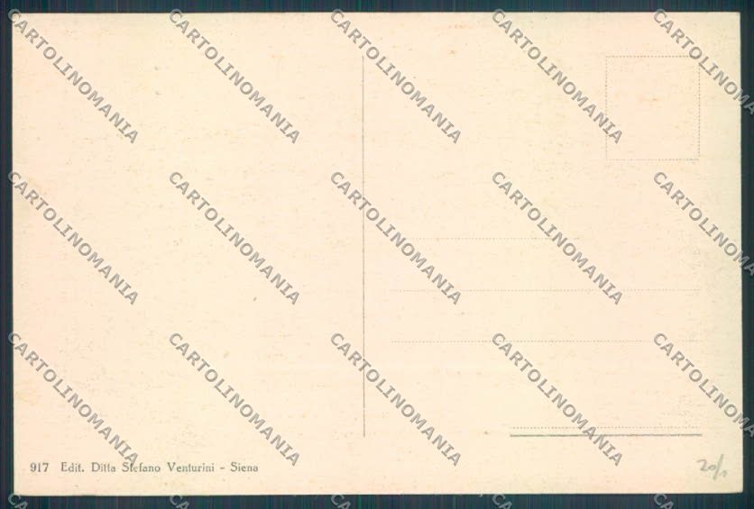 Siena Città Poste e Camera Commercio cartolina ZB6251 – retro