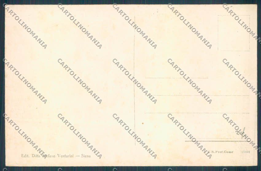 Siena Città cartolina ZB6260 – retro