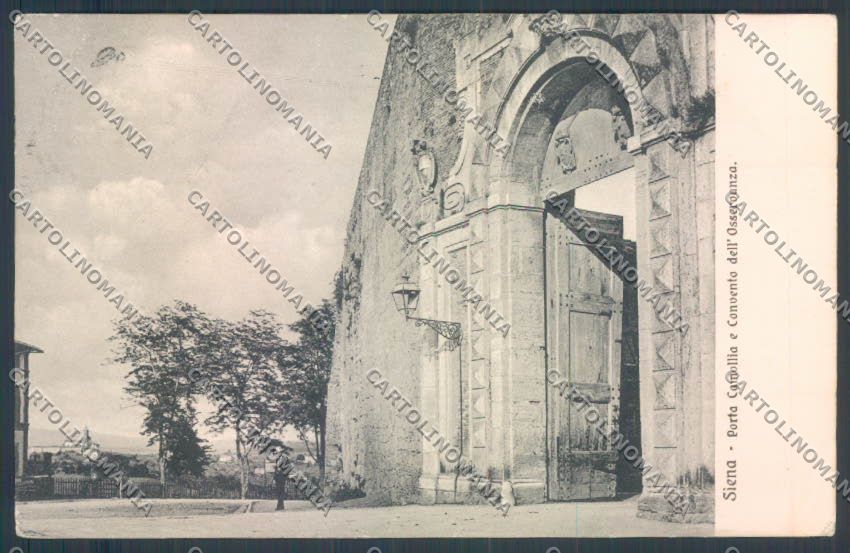 Siena Città Porta Camollia cartolina ZB6263 – fronte