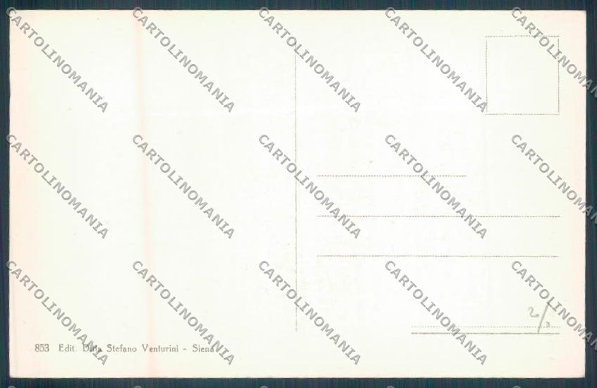 Siena Città cartolina ZB6266 – retro