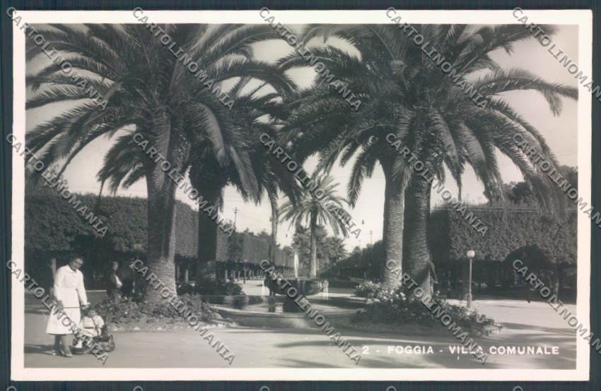Foggia Città Foto cartolina ZB6908 – fronte