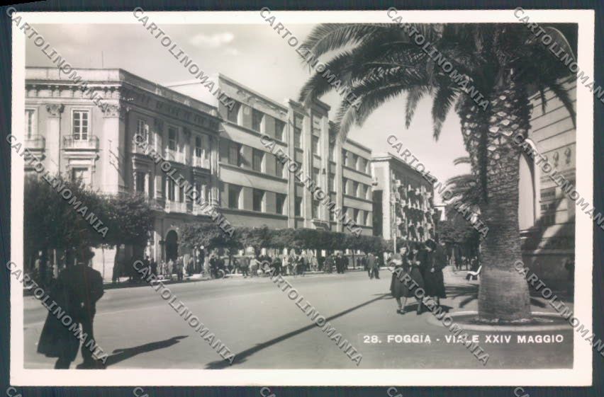 Foggia Città Foto cartolina ZB6946 – fronte