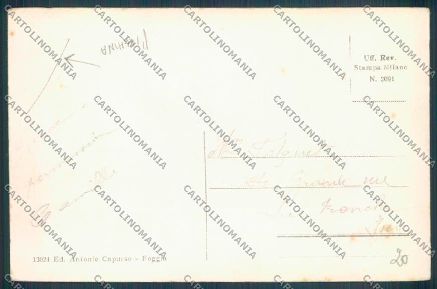 Foggia Città PIEGHINA cartolina ZB6983 – retro