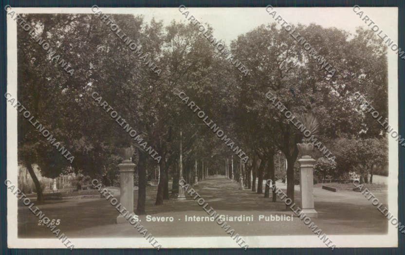 Foggia San Severo Foto cartolina ZB7035 – fronte