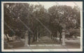 Foggia San Severo Foto cartolina ZB7035 – fronte