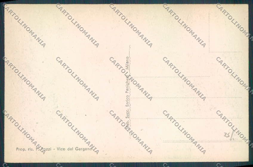 Foggia Vico del Gargano Monumento ai Caduti cartolina ZB7058 – retro