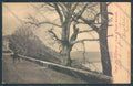 Roma Albano Lago di Albano cartolina ZB7088 – fronte