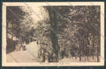 Vicenza Recoaro Terme cartolina ZB7704 – fronte