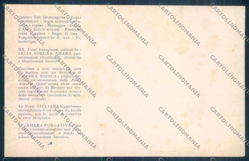 Vicenza Recoaro Terme Pubblicitaria cartolina ZB7717 – retro