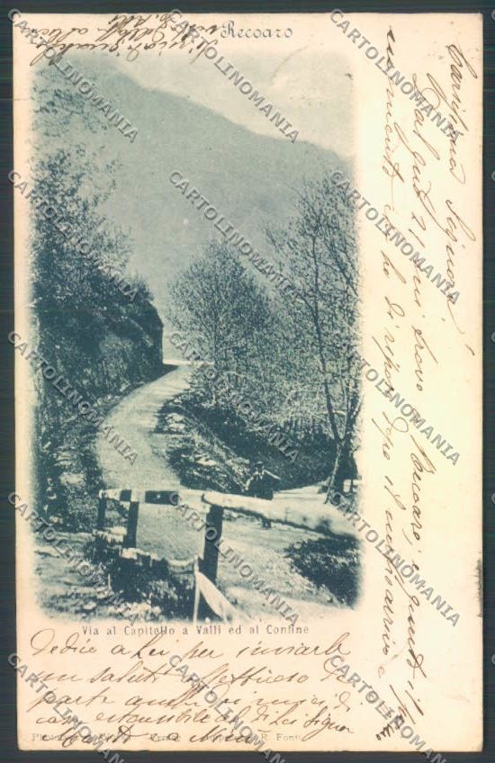 Vicenza Recoaro Terme cartolina ZB7739 – fronte