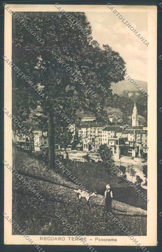 Vicenza Recoaro Terme cartolina ZB7764 – fronte