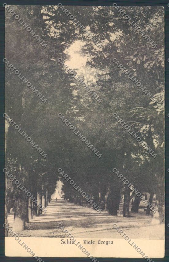 Vicenza Schio cartolina ZB7926 – fronte