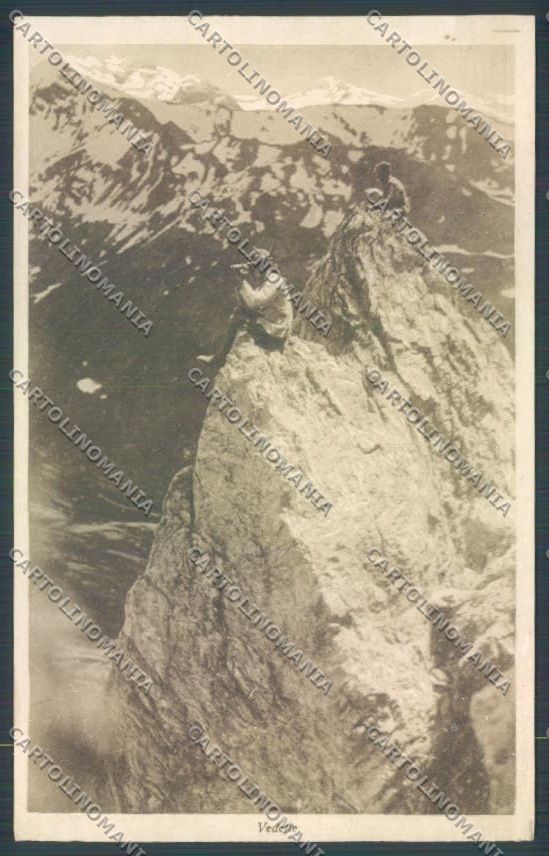 Vicenza Montagna La Guerra d'Italia cartolina ZB8284 – fronte