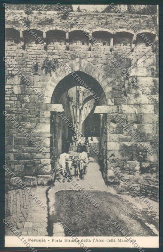Perugia Città Carro Buoi cartolina ZB8476 – fronte