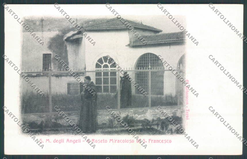 Perugia Assisi Alterocca cartolina ZB8610 – fronte
