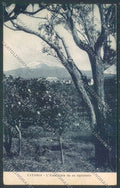 Catania Città Vulcano Etna cartolina ZB8826 – fronte
