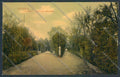 Catania Città Villa Bellini cartolina ZB8839 – fronte