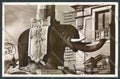 Catania Città Elefante Foto cartolina ZB8853 – fronte