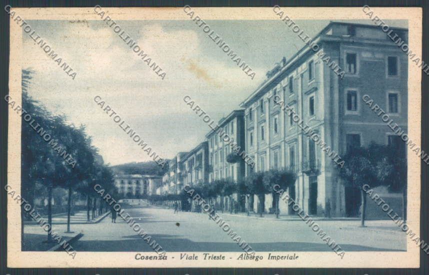 Cosenza Città Viale Trieste cartolina ZB9070 – fronte