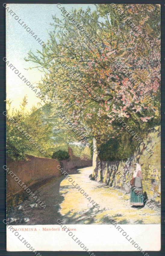 Messina Taormina cartolina ZB9917 – fronte