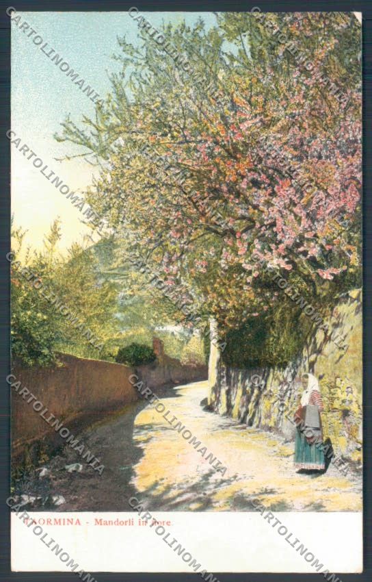 Messina Taormina cartolina ZB9963 – fronte