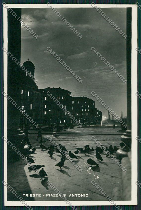 Trieste Città Chiaro di Luna Foto cartolina ZC0474 – fronte