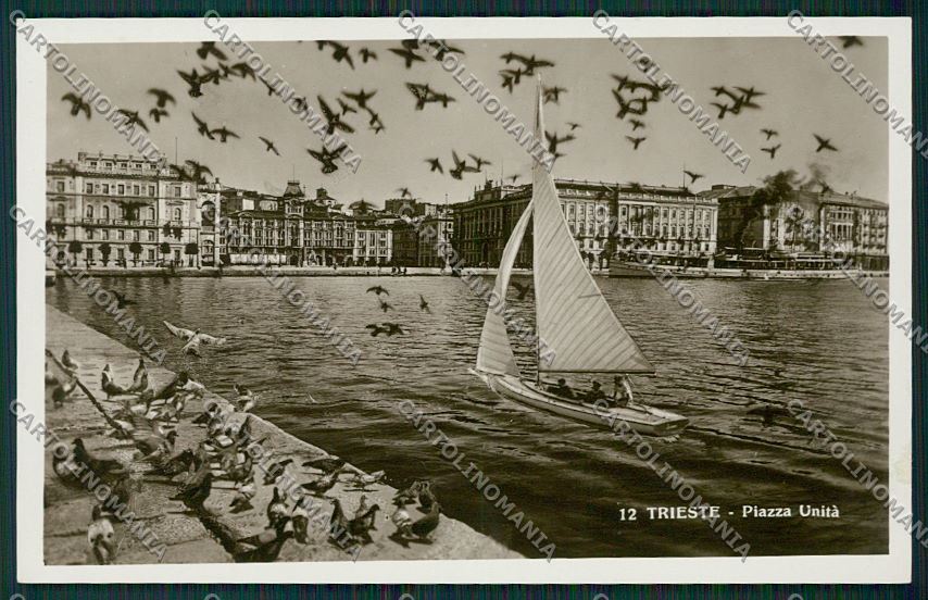 Trieste Città Foto cartolina ZC0476 – fronte