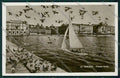 Trieste Città Foto cartolina ZC0476 – fronte