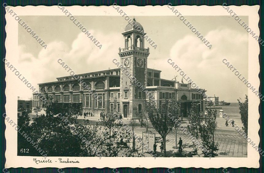 Trieste Città Foto cartolina ZC0794 – fronte