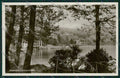 Croazia Abbazia Foto cartolina ZC1039 – fronte