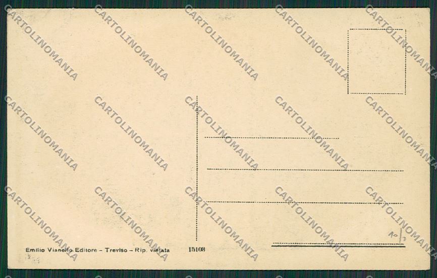 Treviso Città cartolina ZC1358 – retro
