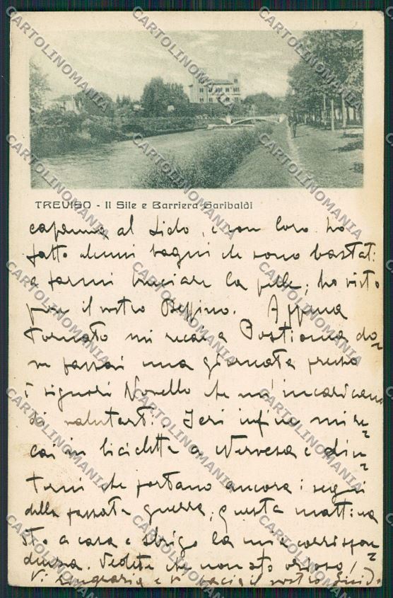Treviso Città cartolina ZC1497 – fronte