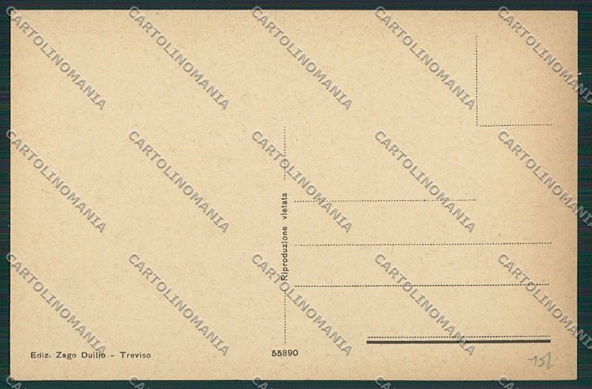 Treviso Città cartolina ZC1512 – retro