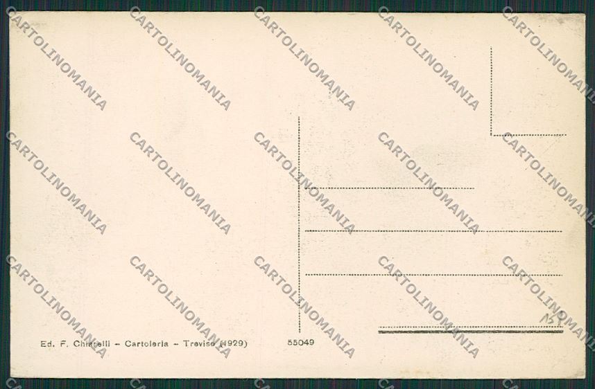 Treviso Città Palazzo del Governo cartolina ZC1526 – retro