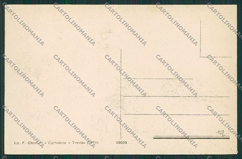 Treviso Città cartolina ZC1550 – retro
