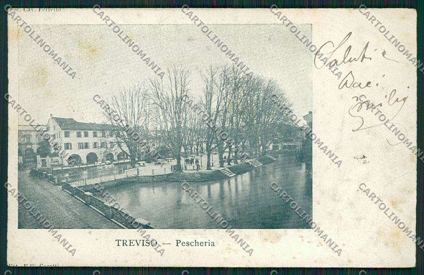 Treviso Città cartolina ZC1569 – fronte