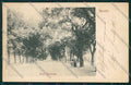 Vercelli Città cartolina ZC2341 – fronte