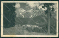 Trento San Martino di Castrozza cartolina ZC2424 – fronte