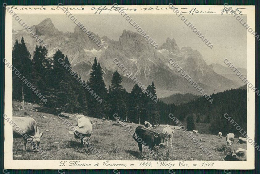 Trento San Martino di Castrozza cartolina ZC2467 – fronte