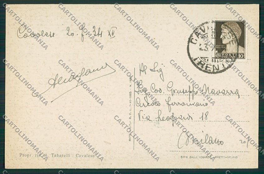 Trento Cavalese cartolina ZC2573 – retro