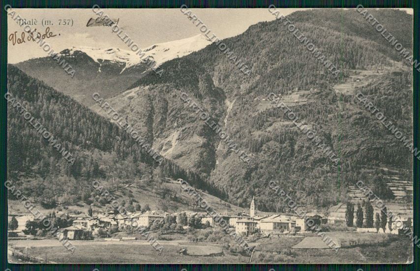 Trento Malè cartolina ZC2695 – fronte