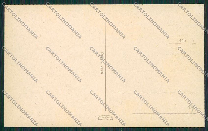 Trento Torbole cartolina ZC2700 – retro